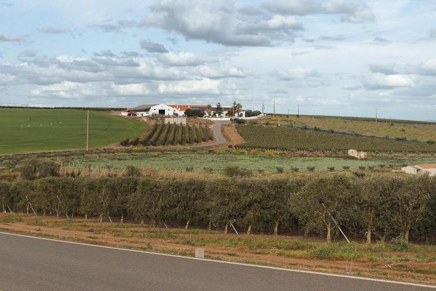 Quinta Do Castelo Hotel Beja Eksteriør billede
